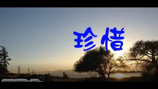 珍惜 karaoke 去人聲