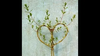 How to make a Valentine's Day Living Willow Heart