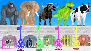 Cow Elephant Gorilla Dinosaur Buffalo Guess The Right Key ESCAPE ROOM CHALLENGE Animals Cage Game