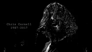 Chris Cornell:A face transformation