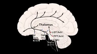 Delirium Overview_Dr Pradeep Rangappa