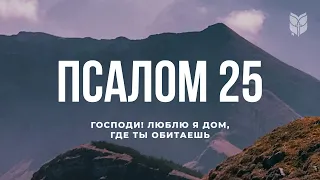 Псалом 25. Современный перевод Библии #biblevision