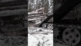 Тлт 100 трелевка. лесозаготовка