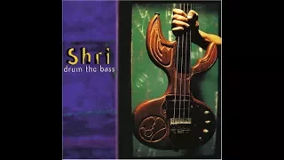 Shri ‎– Drum The Bass (1997)