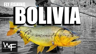 W4F - Fly Fishing Golden Dorado "Bolivia" at Tsimane Lodge