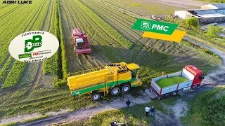 PMC 1189 - 979 CT | Raccolta Piselli | Pea Harvest | DB Fluid