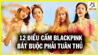 12 Điều Cấm BLACKPINK Bắt Buộc Tuân Thủ: Mua Ô Tô Phải Xin Phép, Không Được Thẩm Mỹ | KBIZ 24H