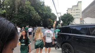 Palmeiras Campeão entrada VIP