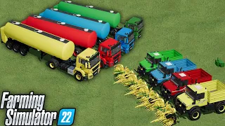 REPORT OF COLORS ! REPORT OF WEEK ! MAKING SILAGE with COLORED TRAILERS bla ..! Farming Sİmulator 22