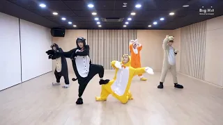 TXT(Tomorrow X Together)Cat & Dog Dance Practice (Animal ver.)