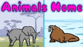 Animals and Their Homes - Fun Learning Game for Kids