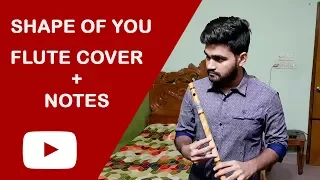 Shape of You - Ed Sheeran Flute Cover with Notes (Riad)