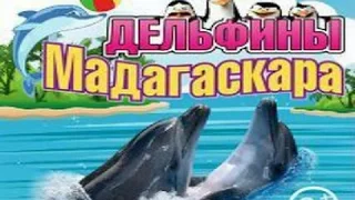 Дельфинарий : Аква Шоу Дельфины Мадагаскара 2016 (Белуха - Полярный дельфин , Черноморские дельфины)