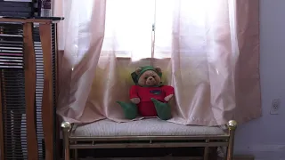 The Teddy Bear(Short Film)