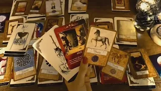 Eril Dişil İlişki Açılımı, Karşılıklı Hisleriniz ve Düşünceleriniz Tarot  #keşfet #tarot #tarotfalı