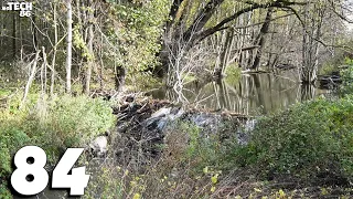 Beaver Dam Removal With Excavator No.84