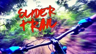 Slider Trail - Chestnut North