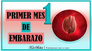 ❤️ PRIMER MES DE EMBARAZO🤰  ⏩ SEMANA 1 a 4 ⏩ PRIMER TRIMESTRE ⏩ Desarrollo y Evolucion del Bebe 👶🏻