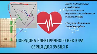 Побудова електричного вектора серця для зубця R. Відео для виконання вправи робочого зошита