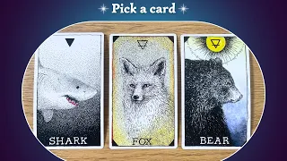 IT'S FINALLY HAPPENING!! 🤩✨🥂🙌⎜ Pick a card⎜Timeless Reading