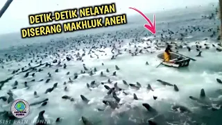 MERINDING! Ribuan Makhluk Misterius Tiba-tiba Menyerang Nelayan Saat Jaring Ikan, Makhluk Apa Ini?