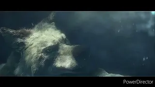 underwater scene scenes edit: alone a wolf's winter underwater scene sharpness