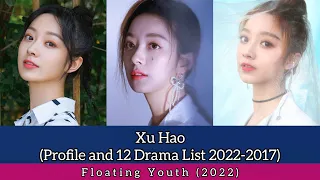 Xu Hao 徐好 (Profile and 12 Drama List 2022-2017) Floating Youth (2022)