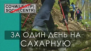 Сочи. За один день на Сахарную и обратно