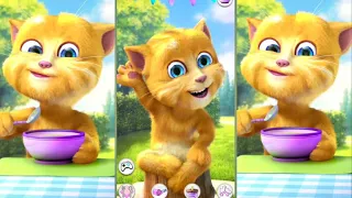 talking Ginger 2 talking Tom talking Ginger talking Tom 2 🍓🍒🍎🍉🍊🍊🥦🥒🥬🫑🥔 #talkinginger2 #talkingginger