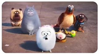 Тайная жизнь домашних животных    The Secret Life of Pets  2016  трейлер..