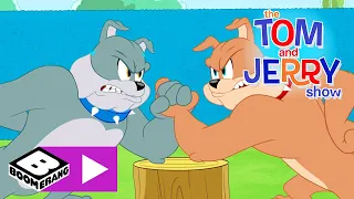 Tom és Jerry | Szpájk bátyja | Cartoonito