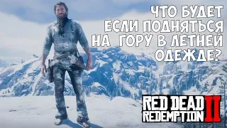 ЧТО БУДЕТ ЕСЛИ ПОДНЯТЬСЯ НА ГОРУ В ЛЕТНЕЙ ОДЕЖДЕ - RDR 2 [Выпуск #2]