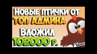 Заработок на яйцах  Money Birds one обзор новой игры для заработка 2018 году