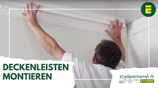 Profilleisten-Montage-Video NMC Stuckleisten Deckenleiste - Ewering stuckleistenprofi.de