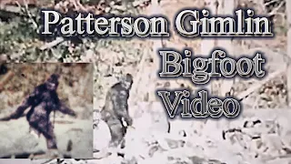 Patterson Gimlin Bigfoot Film
