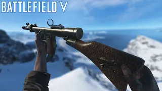 The Type 2A NEVER Should Be Used in Battlefield V