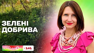 З чого і як приготувати зелені добрива – поради Антоніни Лесик