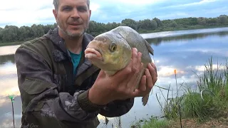 ДЕЛАЮ САЛО НА ЛЕЩА! ОКСКИЕ ЛЕЩИ-ЛЮБЯТ ЭТО! Рыбалка на донки на ОКЕ!