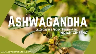 ASHWAGANDHA : UNLOCKING THE ANCIENT POWER OF THE INDIAN GINSENG.