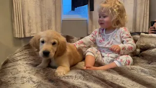 Adorable Baby And Golden Retriever Puppy! We All Need This Love Right Now! (Cutest Ever!!)