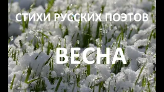 Весна. Сборник стихов русских поэтов классиков