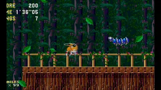 Sonic 3 AIR Mods - Wood Zone Demo