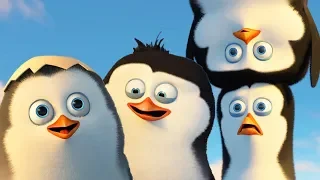 DreamWorks Madagascar | Best Penguins of Madagascar Scenes - Funny Action Moments | Kids Movies