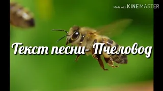Текст песни - Пчеловод 🐝