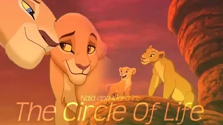 Circle Of Life ♥ Nala / Kiara | Lion King Fanmade Scene