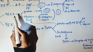 DISORDERS OF SEXUAL DEVELOPMENT part 1 , Hormonal_control_part_7 #gynaecology #tenteachers #gynae