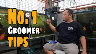 EP194. EXCLUSIVE INTERVIEW WITH THE NUMBER 1 GOLDFISH GROOMER IN THE PHILIPPINES