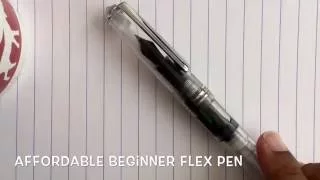 Beginner Flexible Nib Fountain Pen - FPR Guru