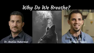Breathing and Fat Loss.  Science of Respiration and Metabolism.  Andrew Huberman & Andy Galpin
