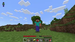 Playing minecraft (day 1)